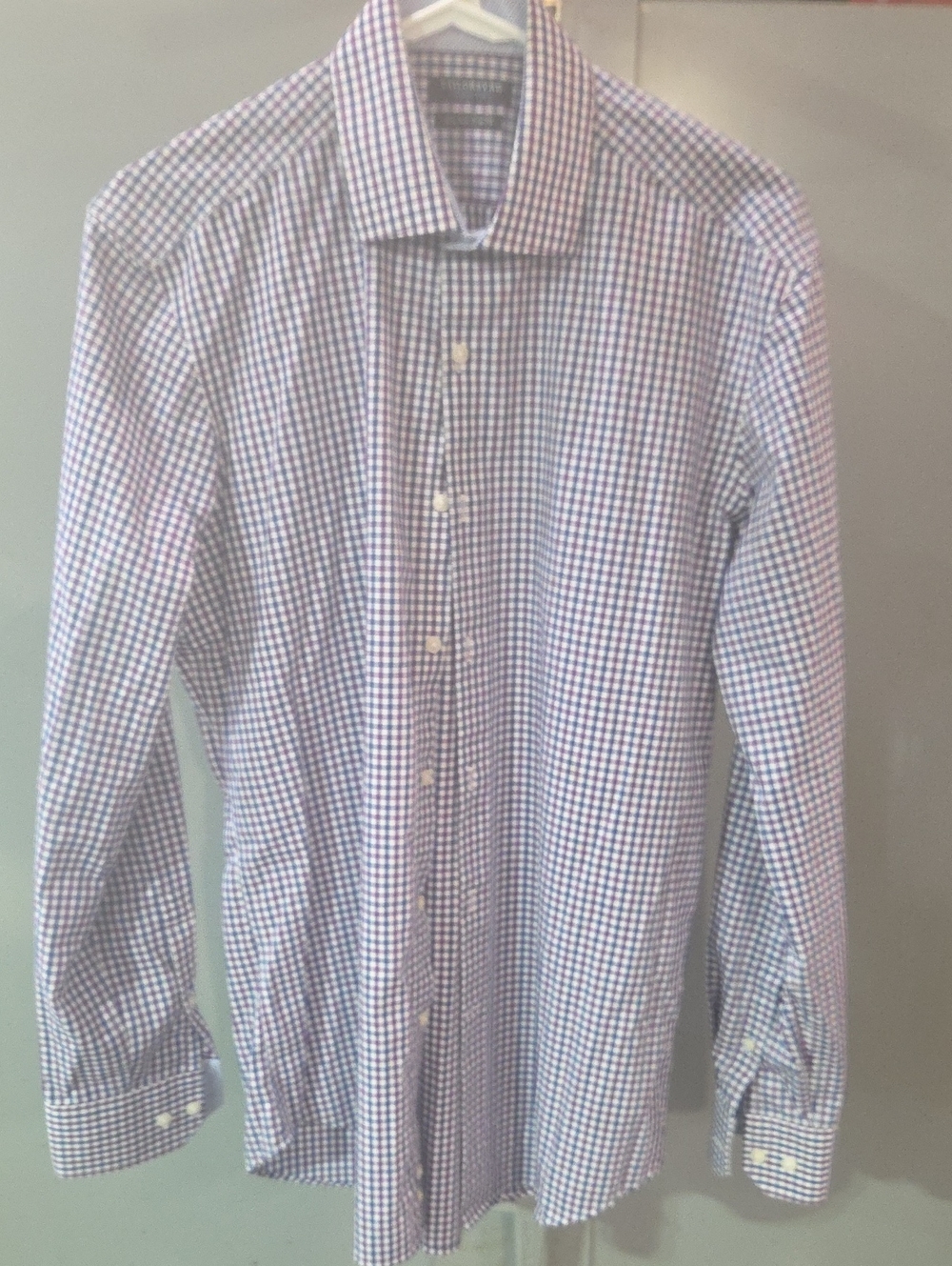 Tailorbyrd Blue and White Gingham Dress Shirt